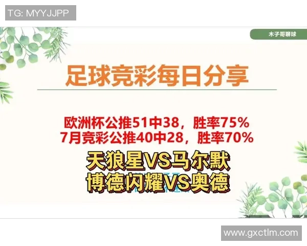 马尔默与天狼星精彩对决集锦回顾赛场瞬间与精彩进球一览